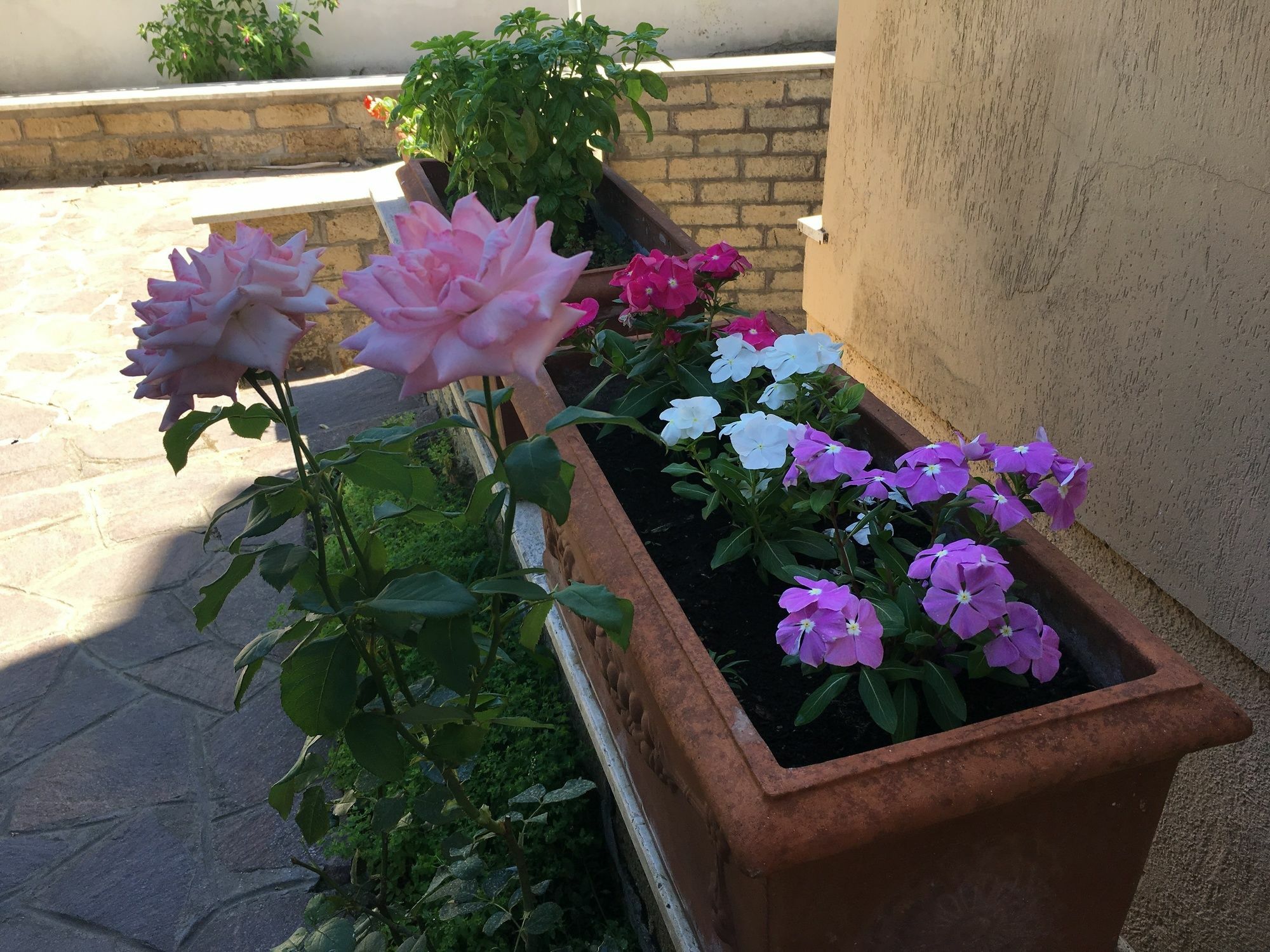 Green House روما المظهر الخارجي الصورة